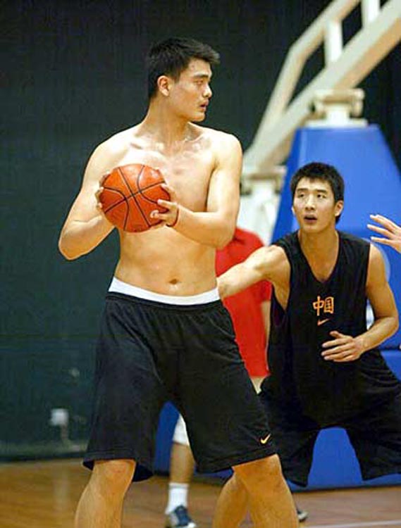 坛的一颗明